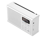 BLAUPUNKT DR3WH - 1363300 - zdjęcie 2